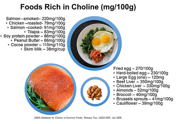 Foods-rich-in-choline